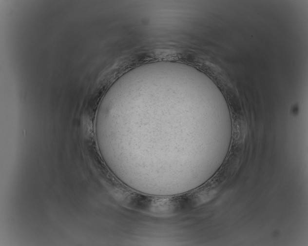 X0000089450705200707061242