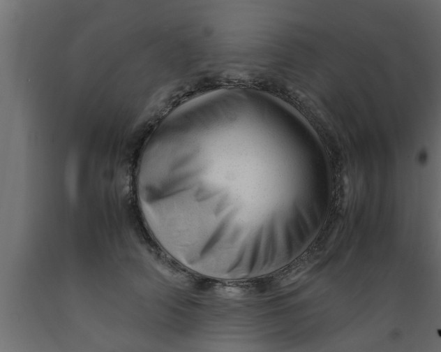 X0000089450706200707061242