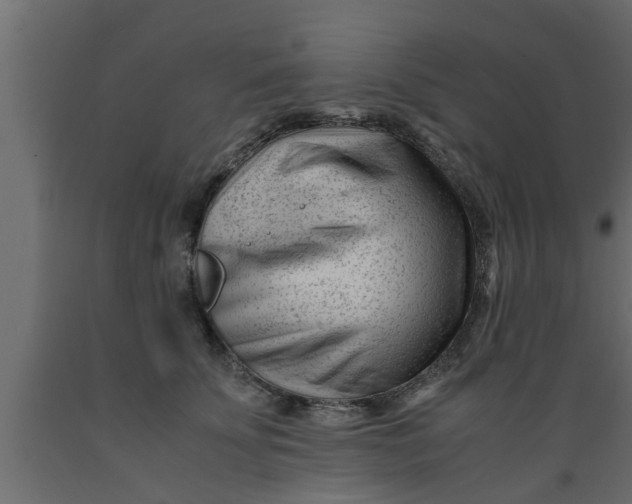 X0000089450707200707061242