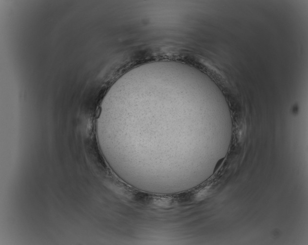 X0000089450709200707061242