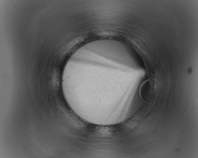 X0000089450710200707061242