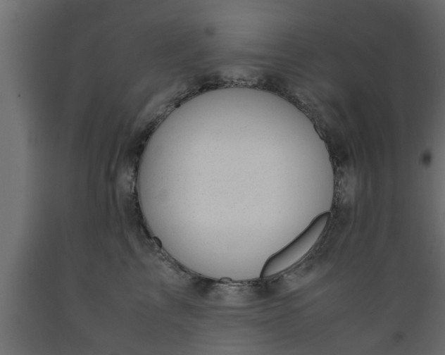 X0000089450713200707061242