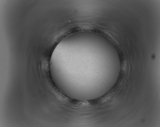 X0000089450715200707061242