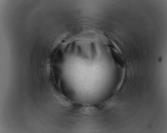 X0000089450716200707061242