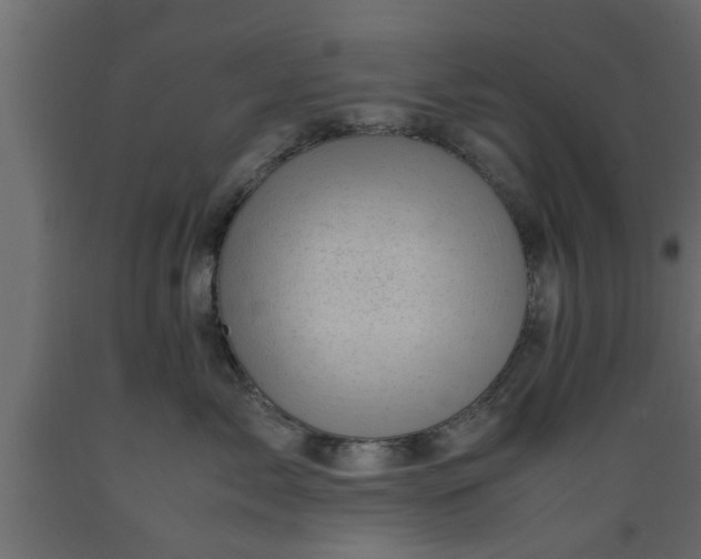 X0000089450717200707061242