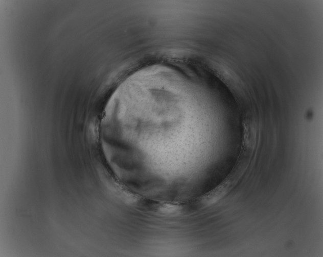 X0000089450718200707061242