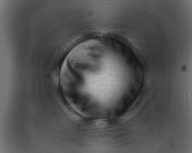 X0000089450719200707061242