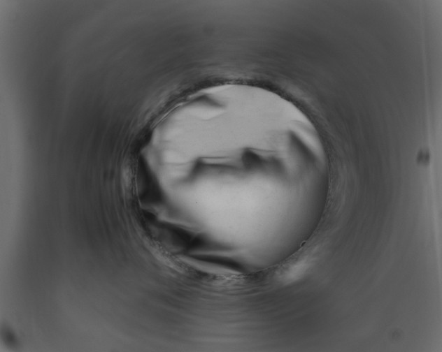 X0000089450720200707061242