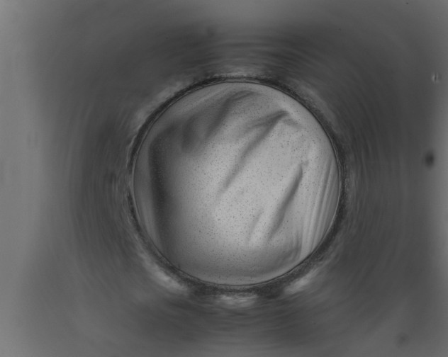 X0000089450721200707061242