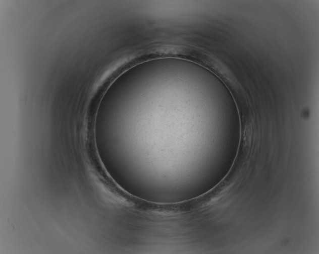 X0000089450722200707061242