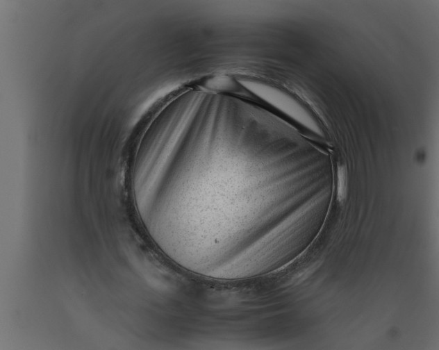 X0000089450723200707061242