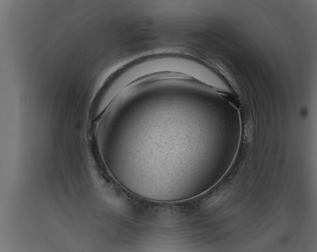 X0000089450724200707061242