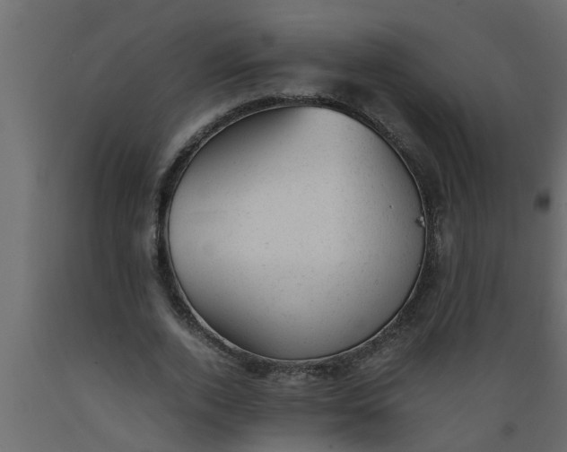 X0000089450728200707061242