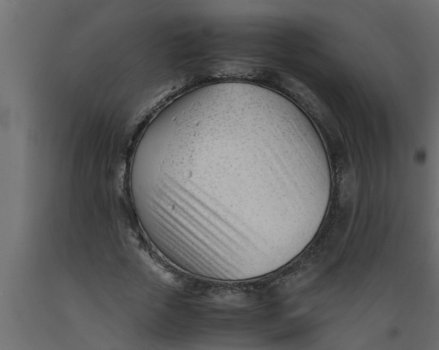 X0000089450729200707061242