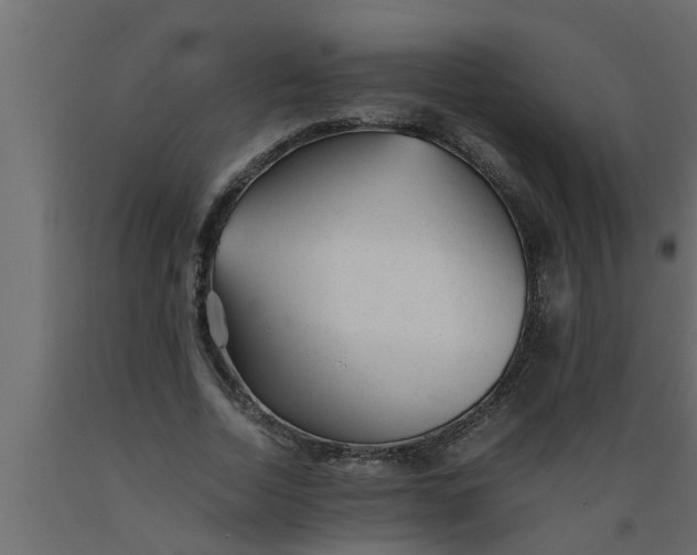 X0000089450730200707061242