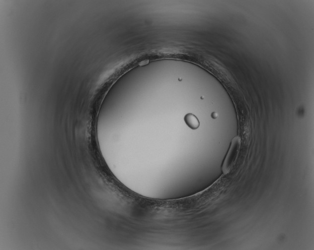 X0000089450732200707061242