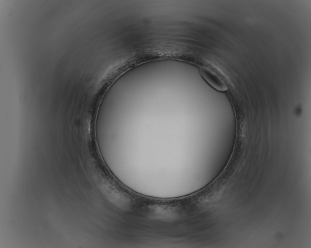 X0000089450733200707061242