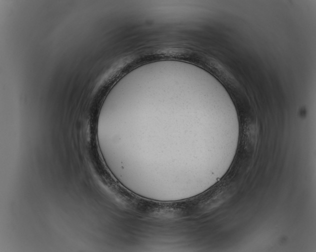 X0000089450734200707061242