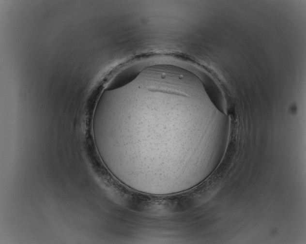 X0000089450736200707061242