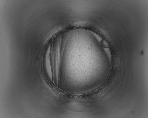 X0000089450738200707061242