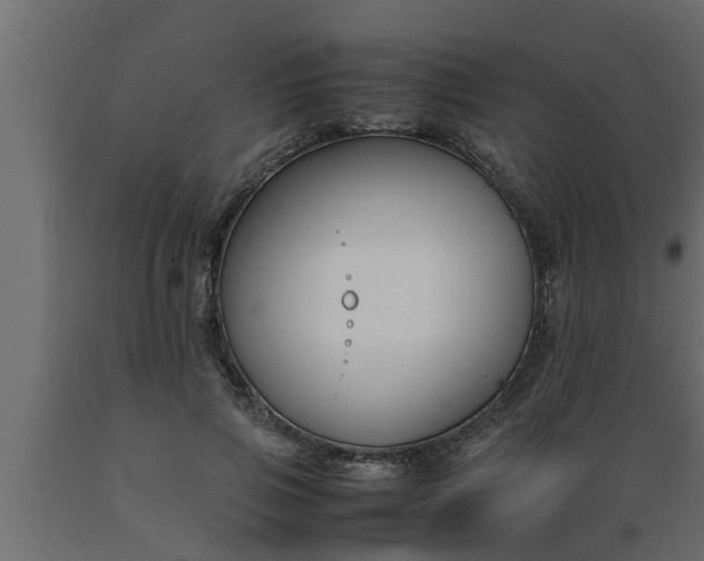 X0000089450741200707061242