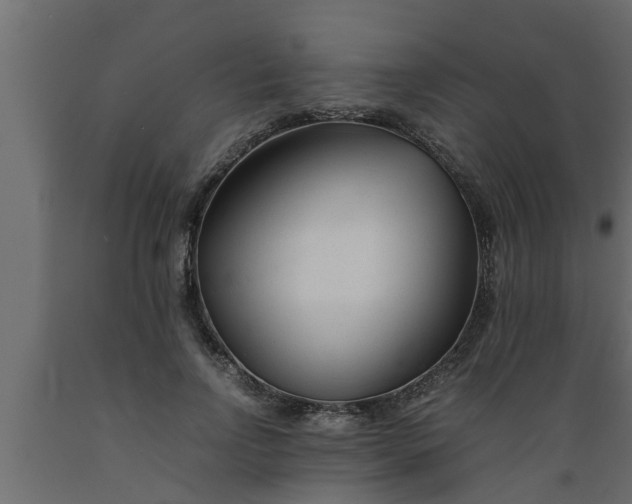 X0000089450742200707061242