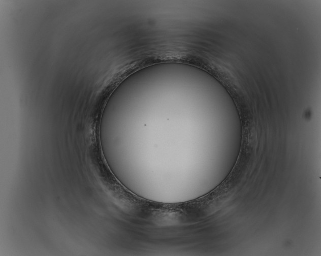 X0000089450743200707061242