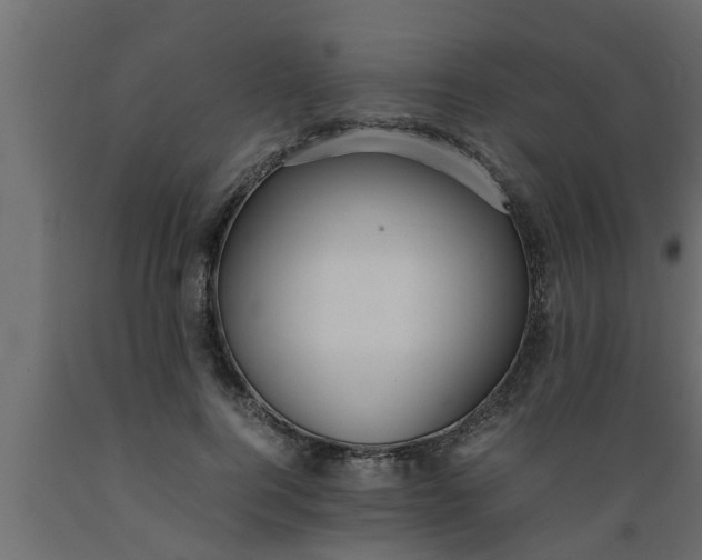 X0000089450744200707061242