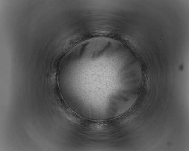 X0000089450745200707061242