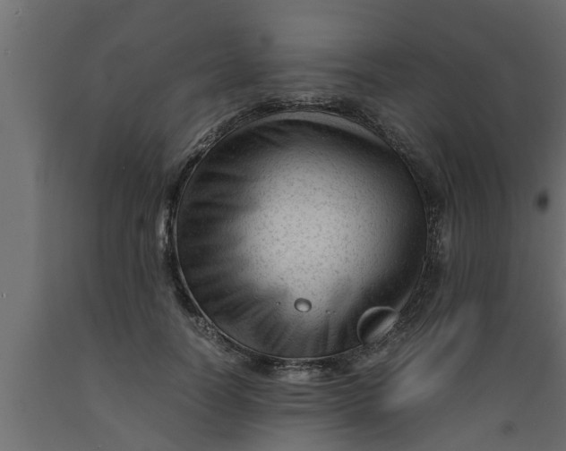 X0000089450746200707061242