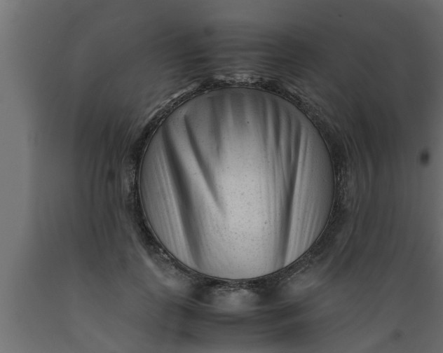 X0000089450747200707061242