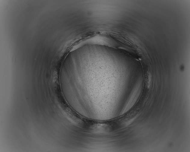 X0000089450748200707061242