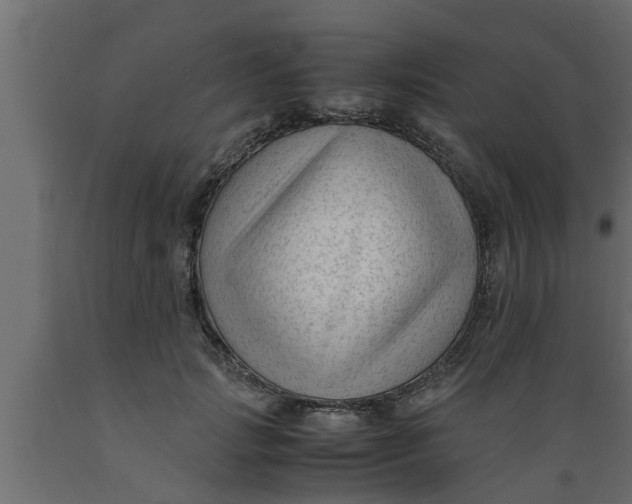 X0000089450749200707061242