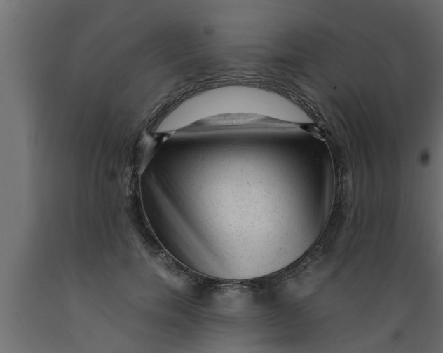 X0000089450750200707061242