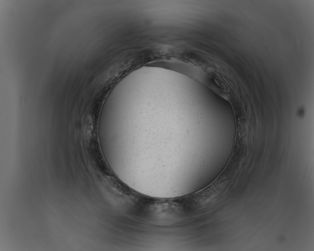 X0000089450752200707061242