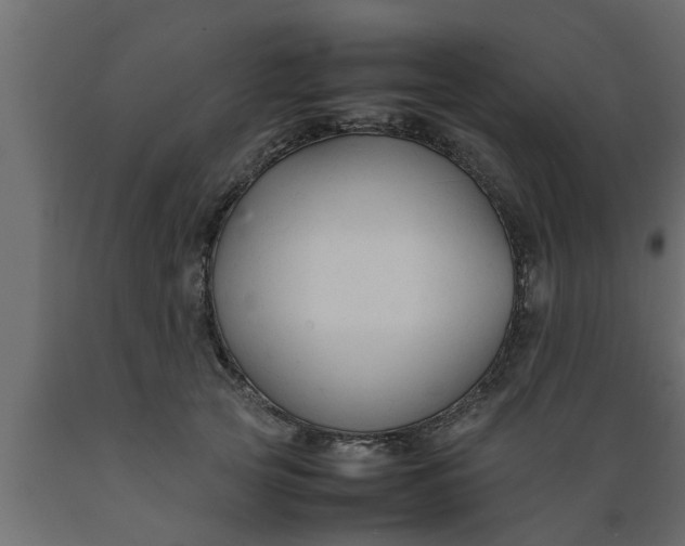 X0000089450753200707061242