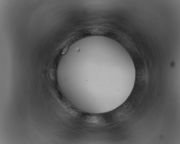 X0000089450755200707061242