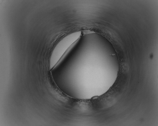 X0000089450756200707061242