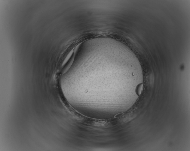 X0000089450757200707061242