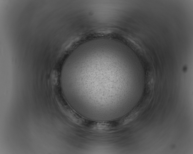 X0000089450758200707061242