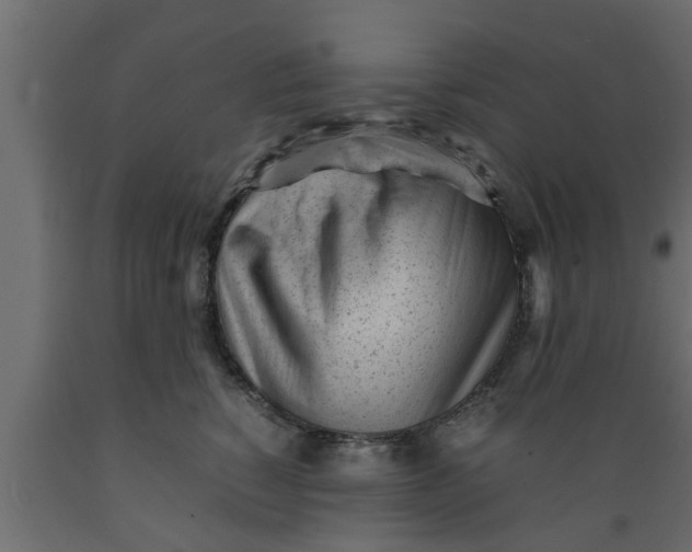 X0000089450760200707061242