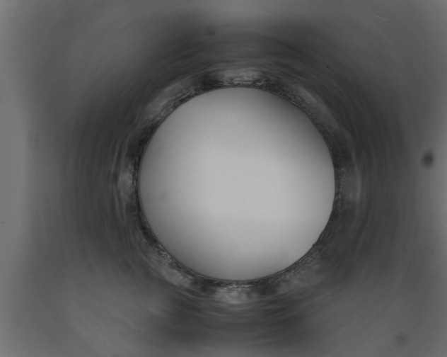 X0000089450761200707061242