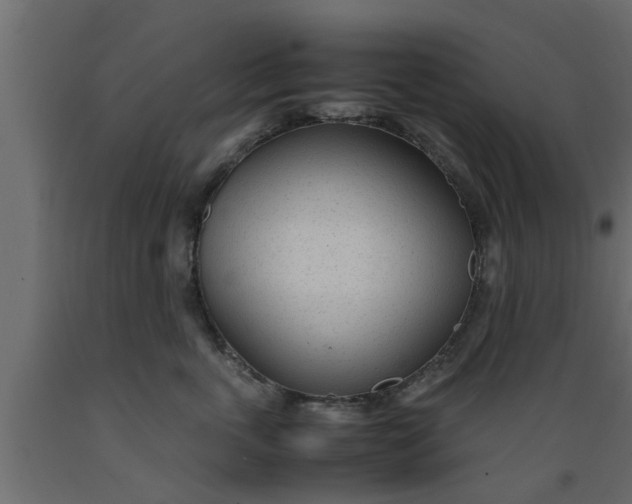 X0000089450763200707061242