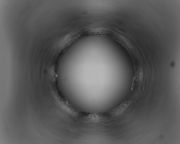 X0000089450764200707061242