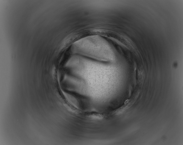 X0000089450765200707061242