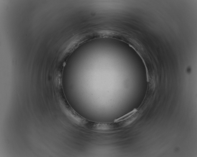 X0000089450766200707061242