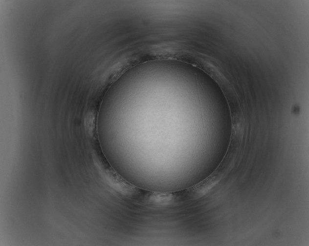 X0000089450767200707061242