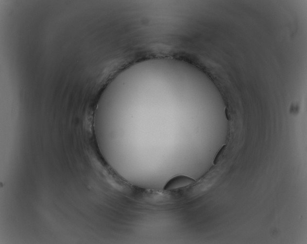 X0000089450768200707061242