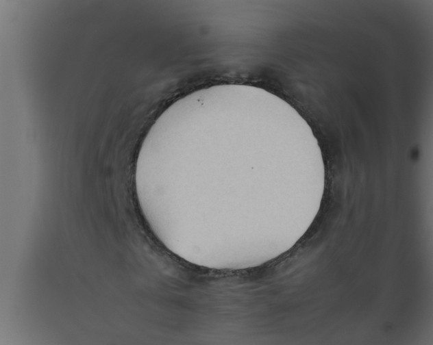 X0000089450769200707061242