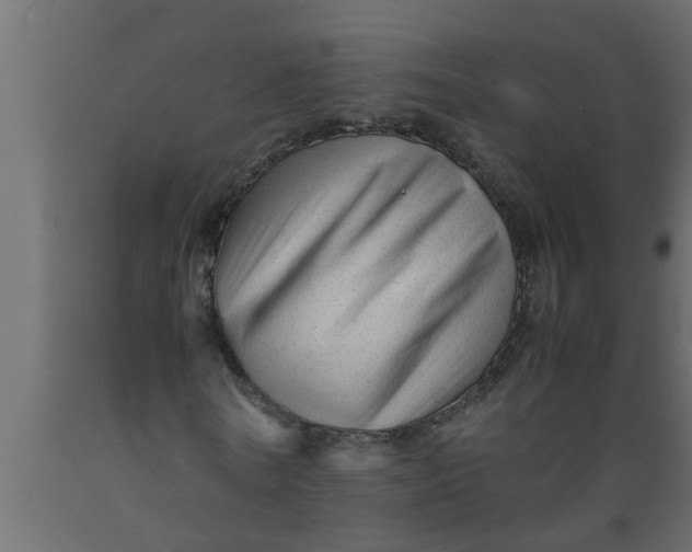 X0000089450770200707061242